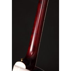 Takamine GN75CE - Wine Red Westernguitar